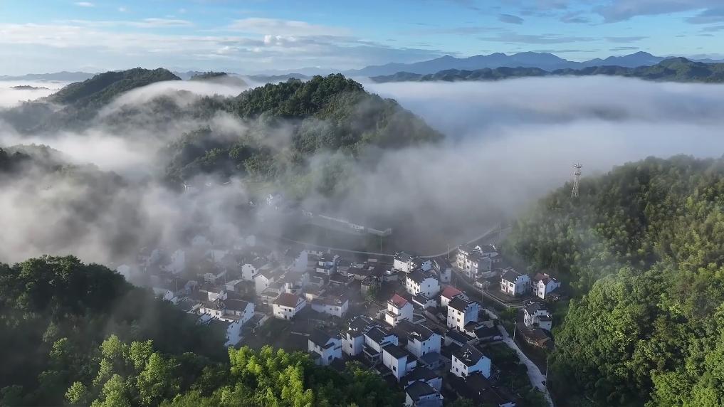 新华视点|融合中医药智慧 解锁康养产业新范式