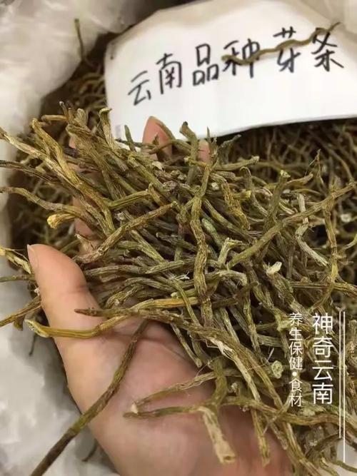 养生保健产品有没有前途?